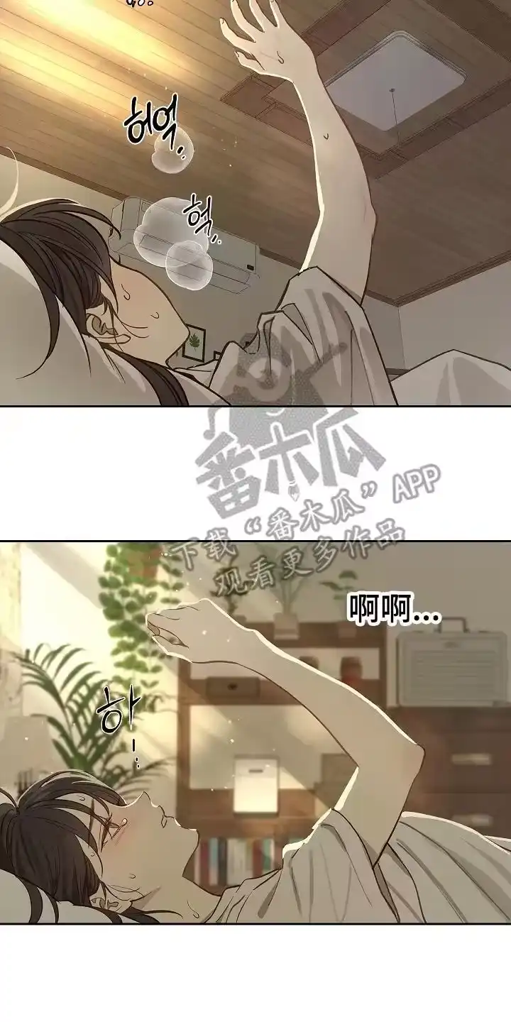 花是诱饵_h 第30章：是那天 第12页