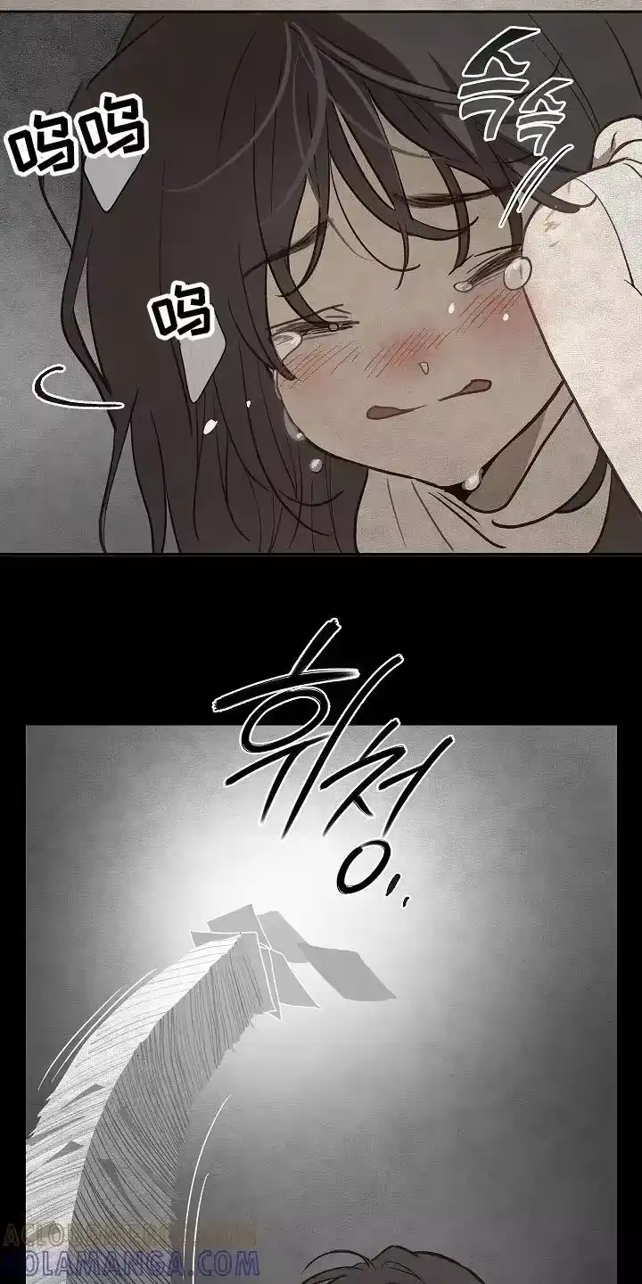 花是诱饵_h 第30章：是那天 第5页