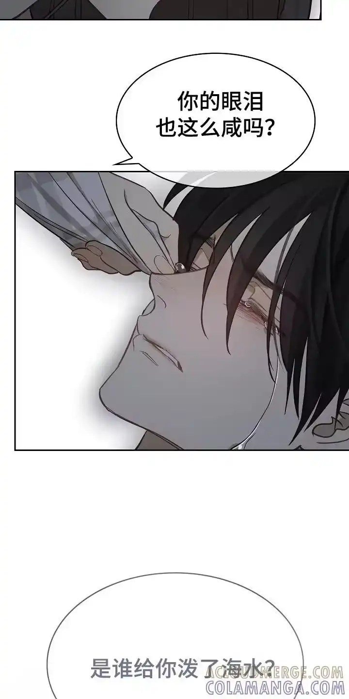 花是诱饵_h 第33章：猜测 第13页