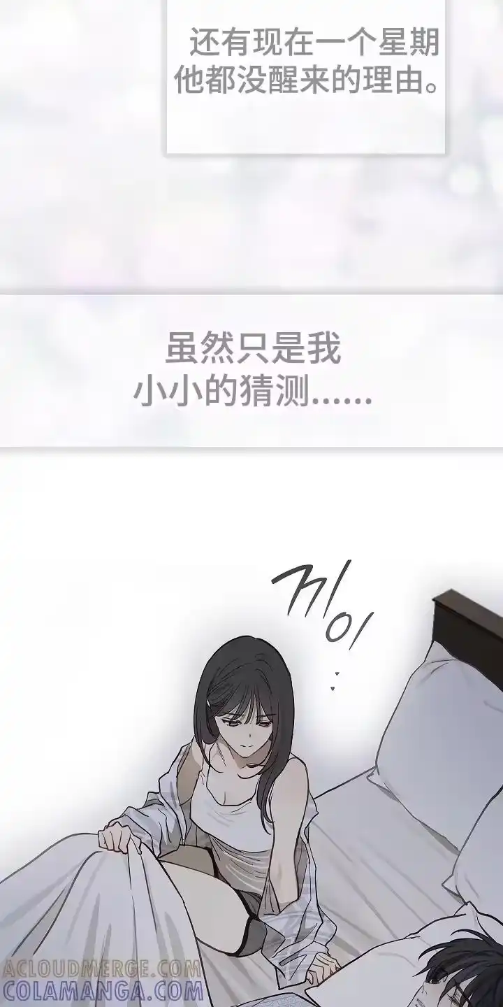 花是诱饵_h 第33章：猜测 第17页
