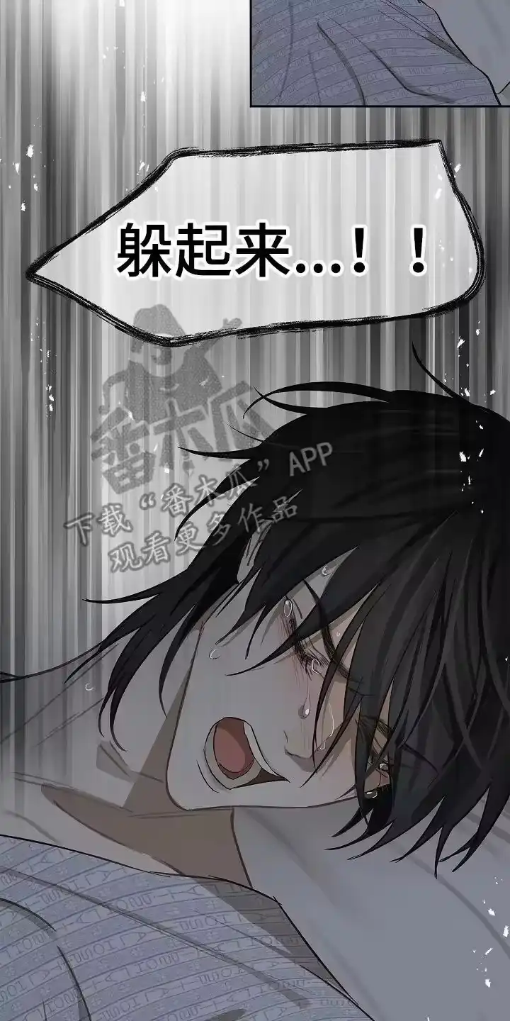 花是诱饵_h 第33章：猜测 第4页