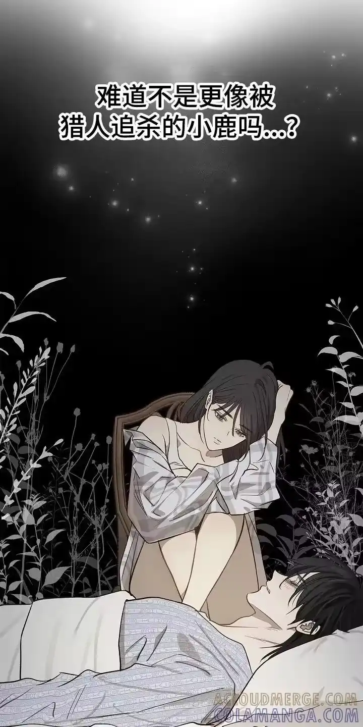 花是诱饵_h 第33章：猜测 第7页