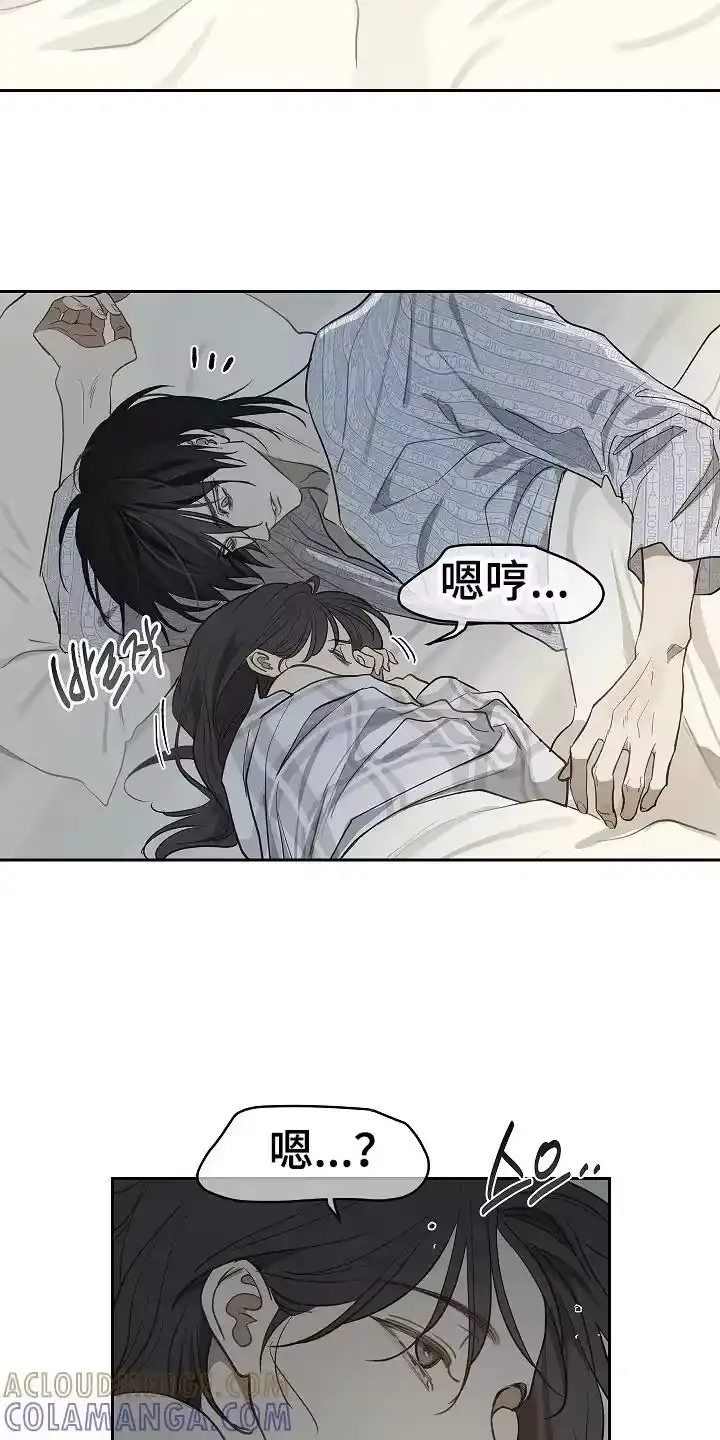 花是诱饵_h 第34章：看出来 第17页