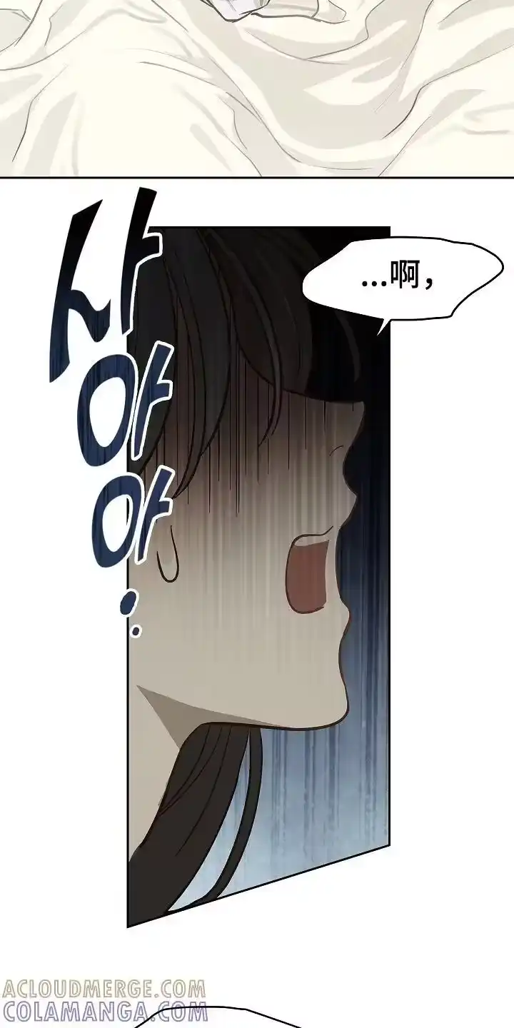 花是诱饵_h 第34章：看出来 第19页