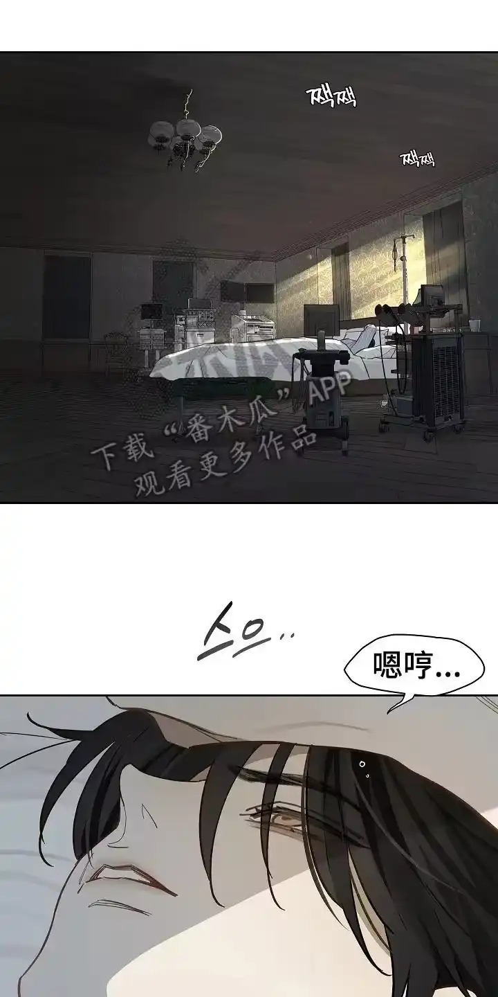 花是诱饵_h 第34章：看出来 第2页