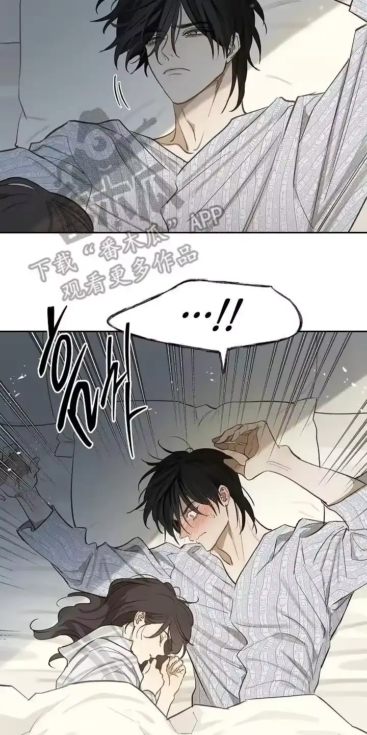 花是诱饵_h 第34章：看出来 第4页