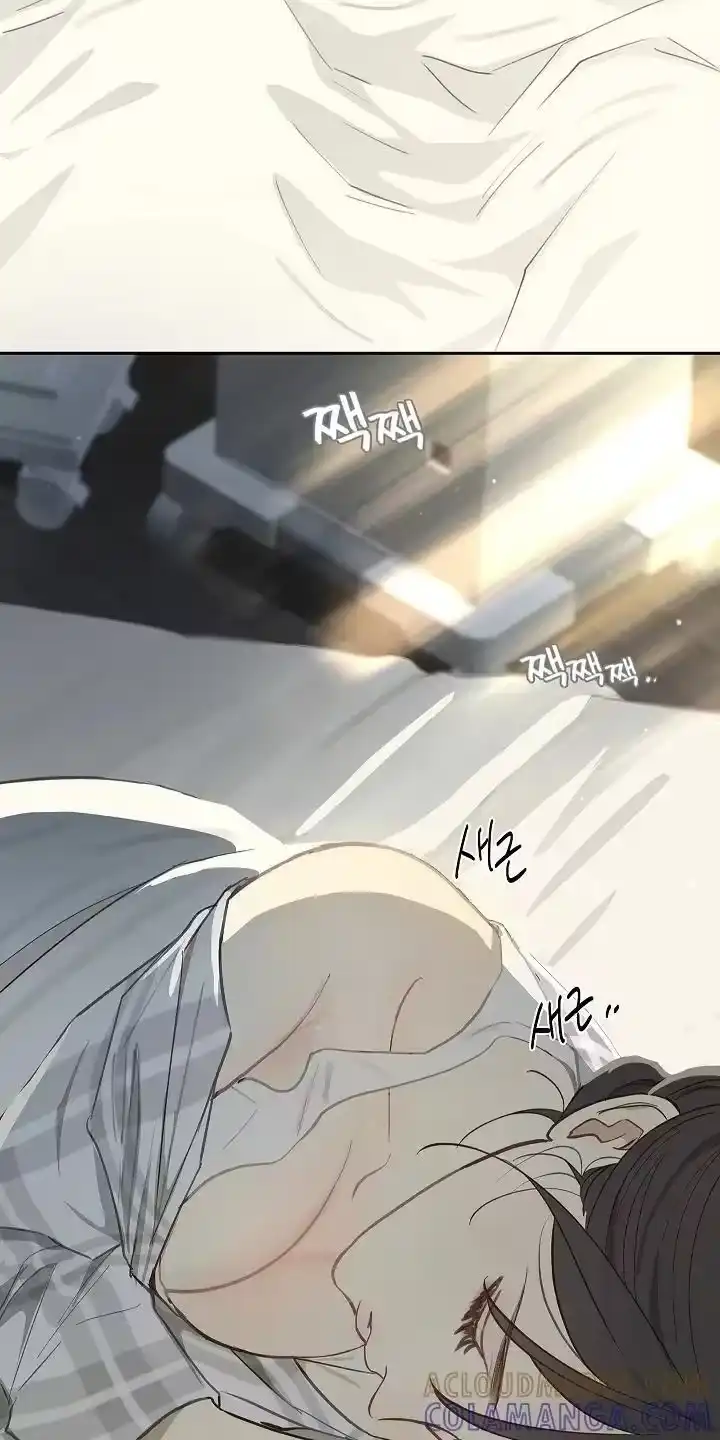 花是诱饵_h 第34章：看出来 第5页