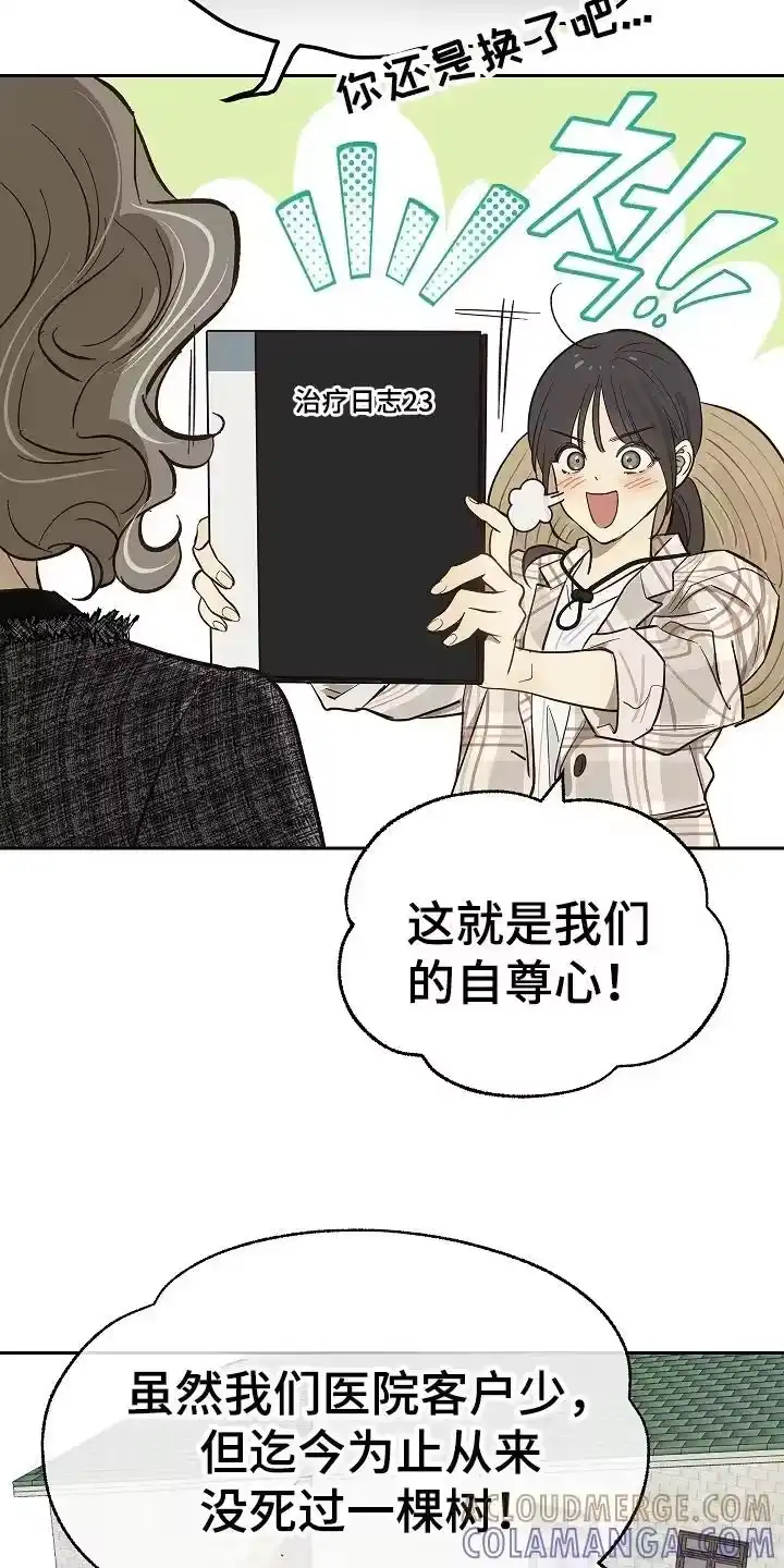 花是诱饵_h 第35章：洗白身份 第11页