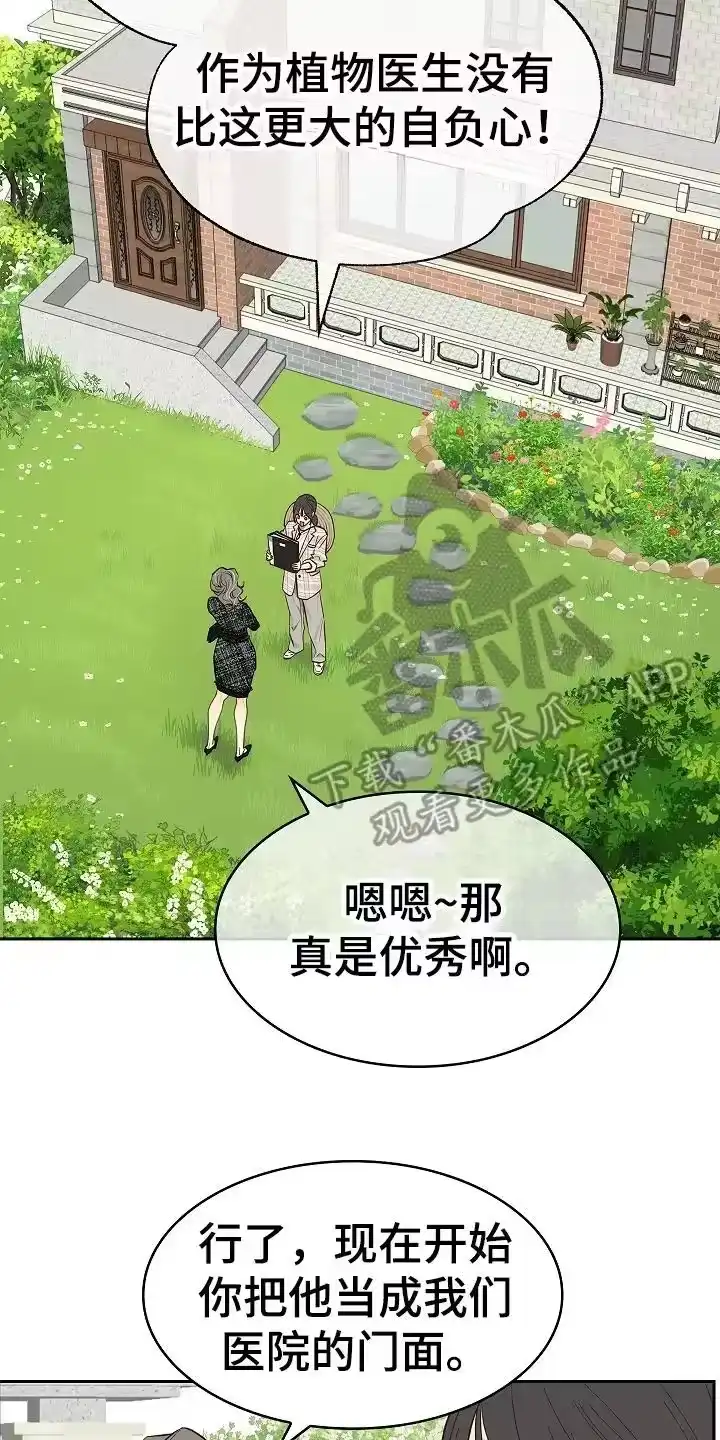 花是诱饵_h 第35章：洗白身份 第12页