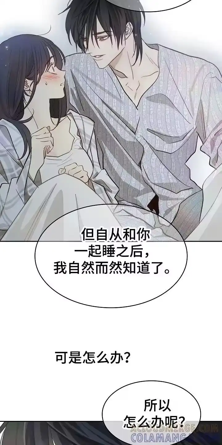 花是诱饵_h 第35章：洗白身份 第5页