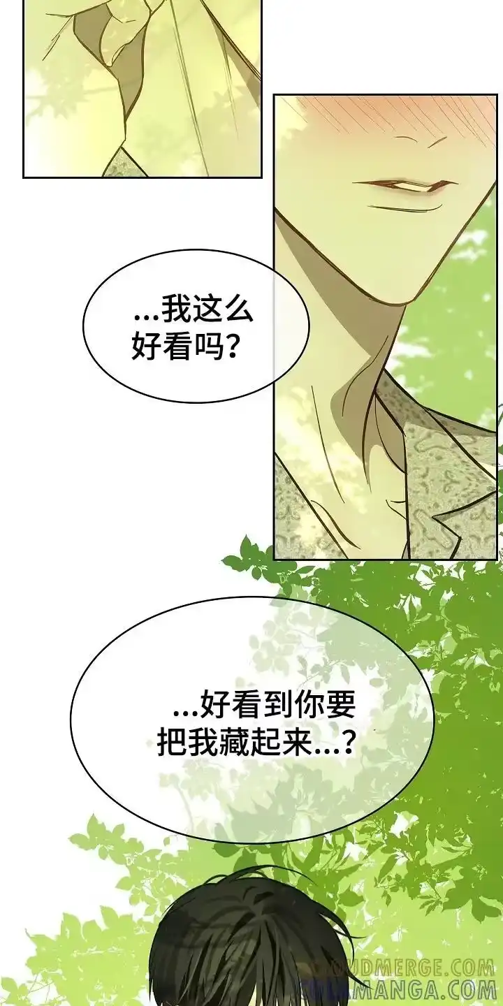 花是诱饵_h 第36章：听你的 第9页