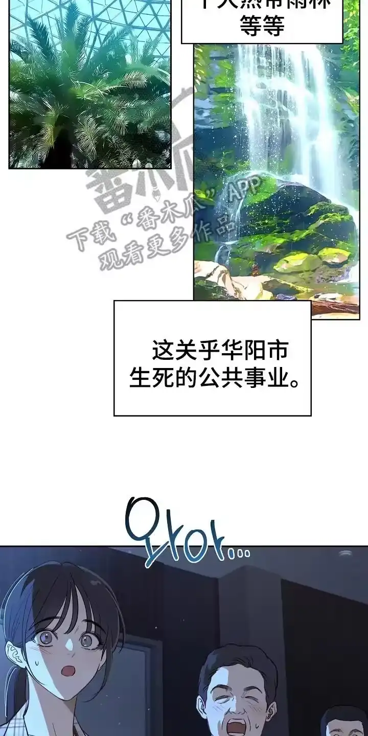 花是诱饵_h 第38章：十年合约 第12页