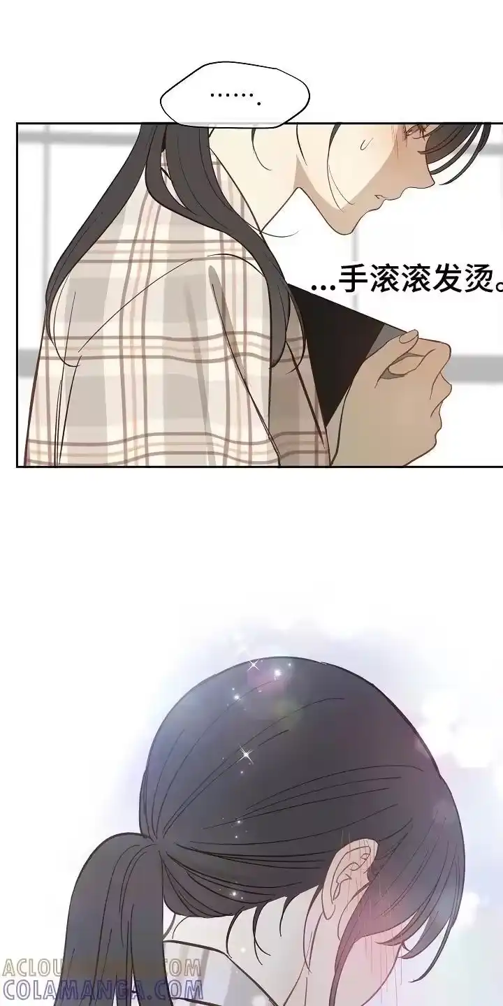 花是诱饵_h 第38章：十年合约 第9页