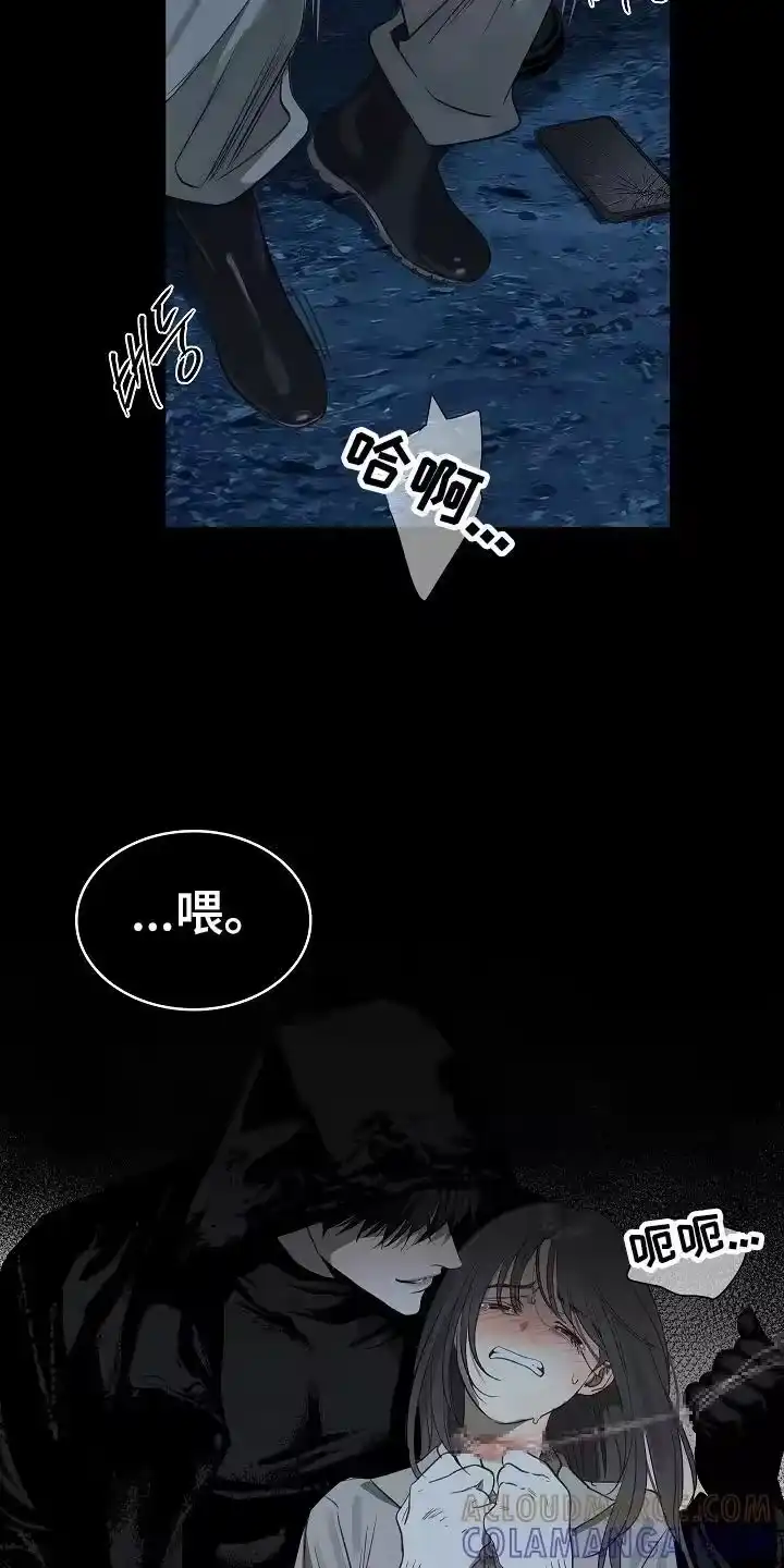 花是诱饵_h 第3章：偷袭 第7页