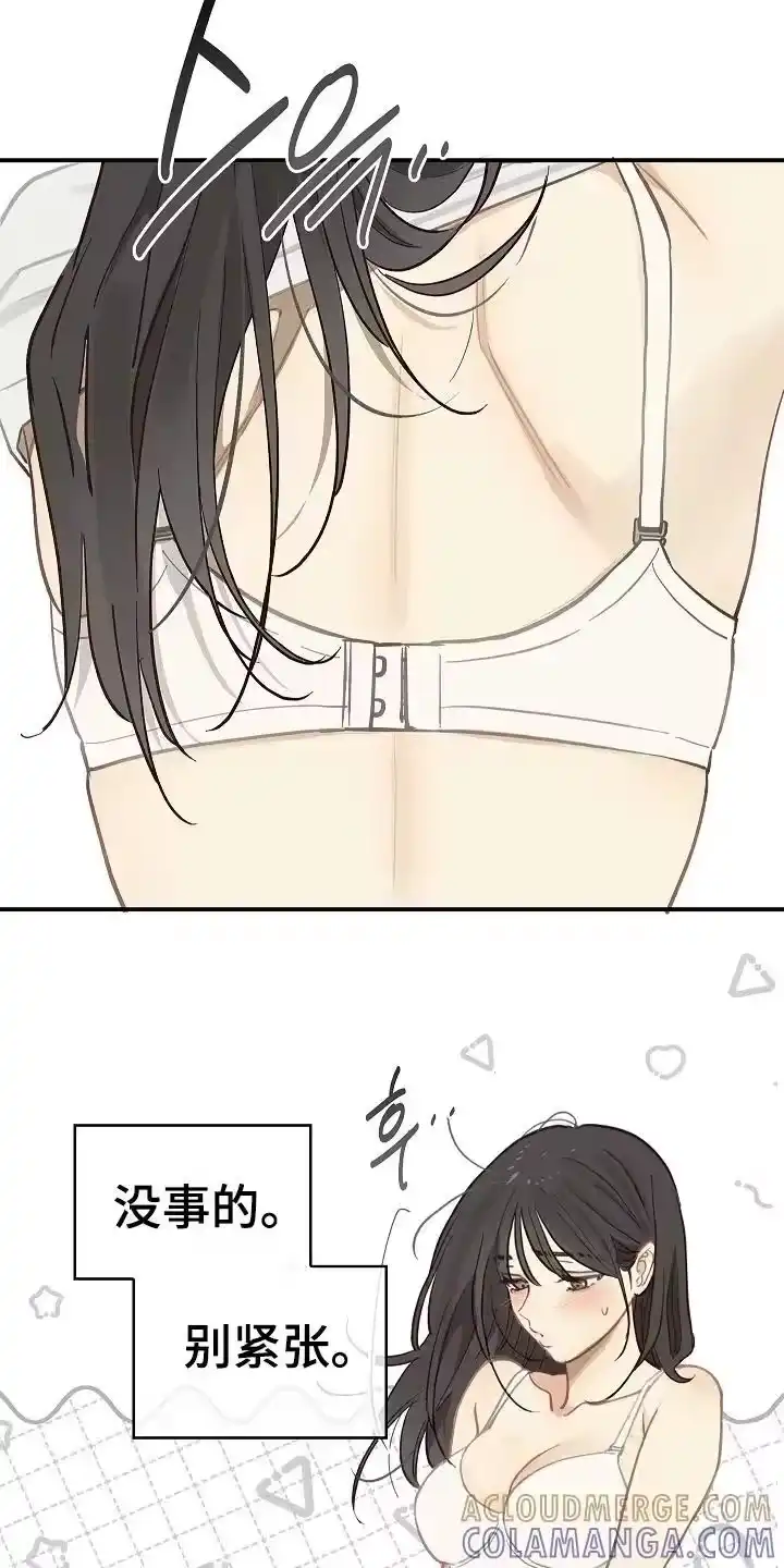 花是诱饵_h 第44章：突然变聪明 第19页