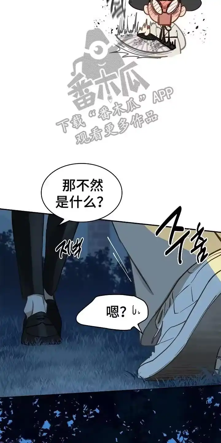 花是诱饵_h 第44章：突然变聪明 第4页