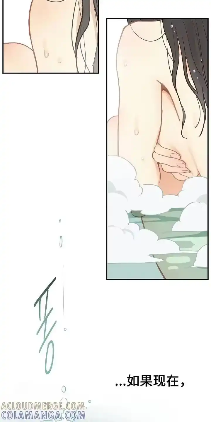 花是诱饵_h 第45章：害羞 第11页