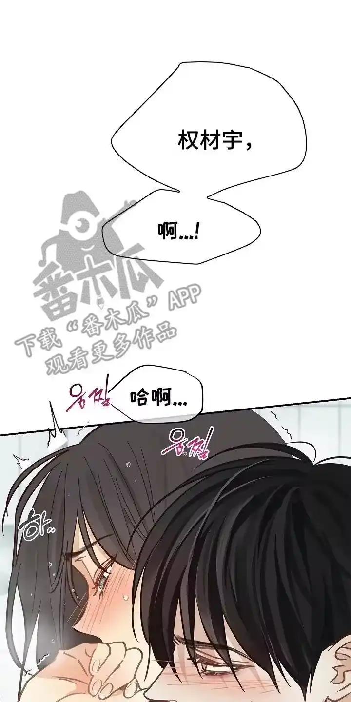 花是诱饵_h 第45章：害羞 第16页