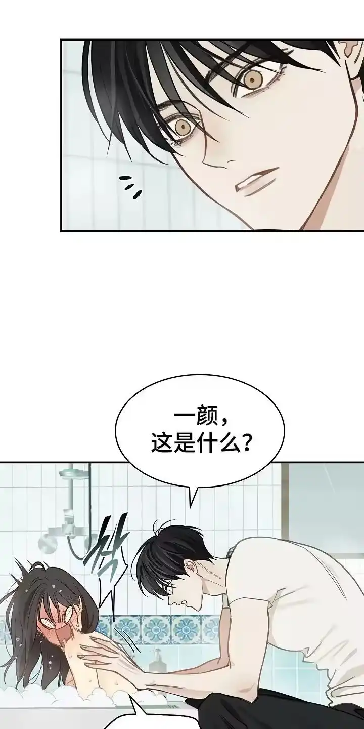 花是诱饵_h 第45章：害羞 第20页