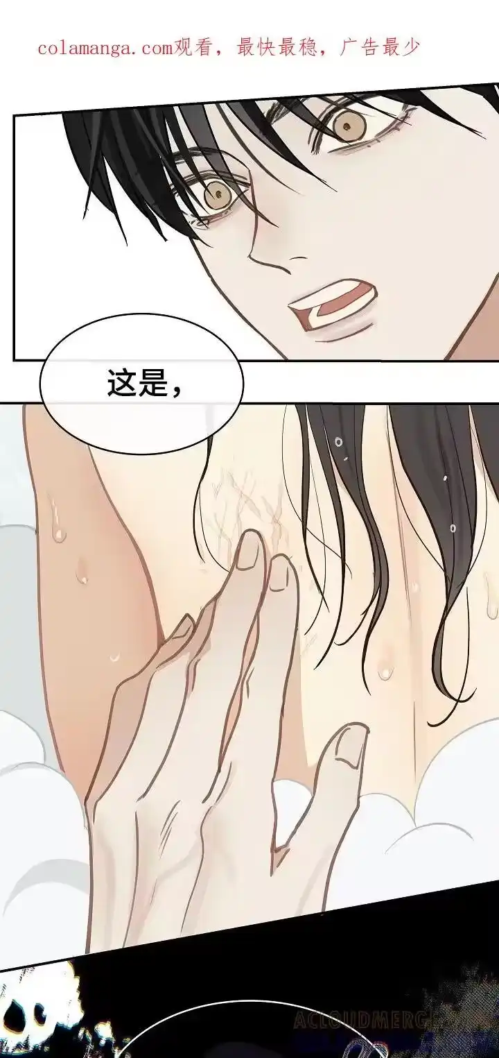 花是诱饵_h 第46章：果然 第1页