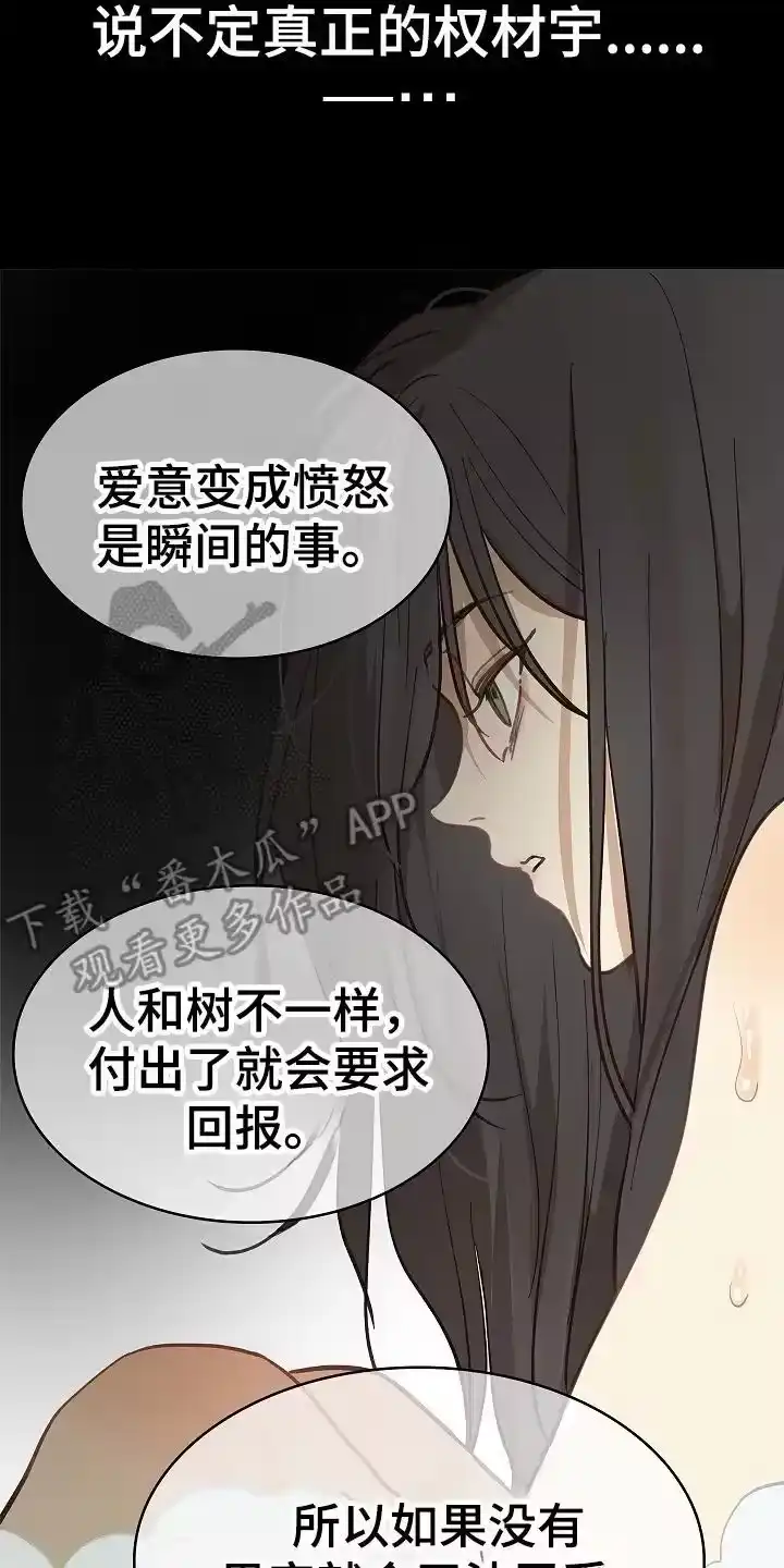 花是诱饵_h 第46章：果然 第16页