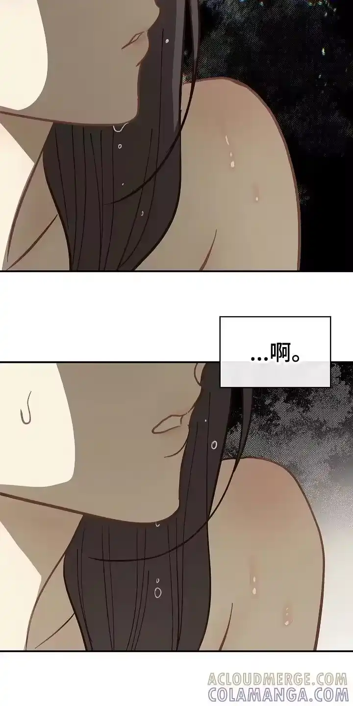 花是诱饵_h 第46章：果然 第3页
