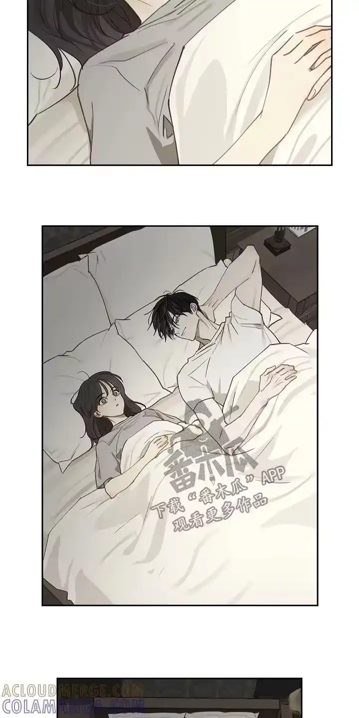 花是诱饵_h 第47章：你怎么了 第19页