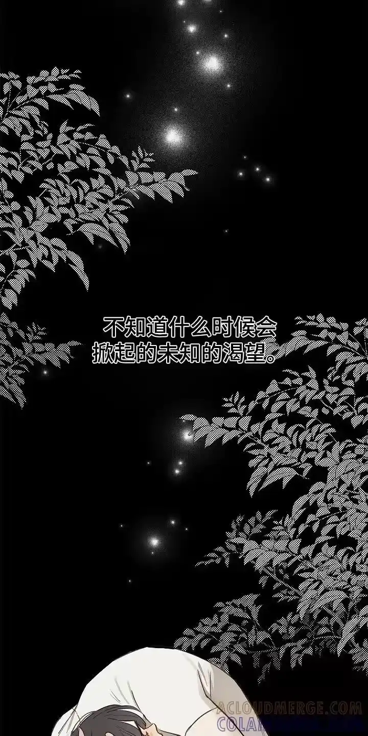 花是诱饵_h 第48章：想起来了 第15页