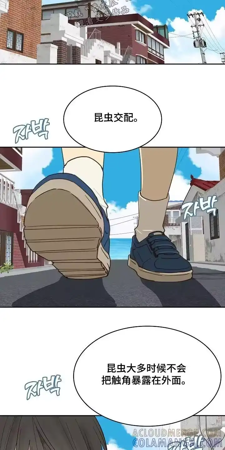 花是诱饵_h 第49章：冷静 第13页
