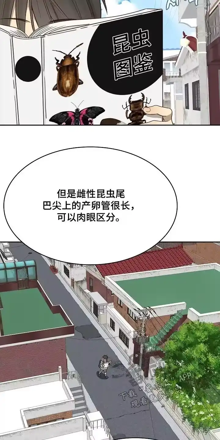花是诱饵_h 第49章：冷静 第14页