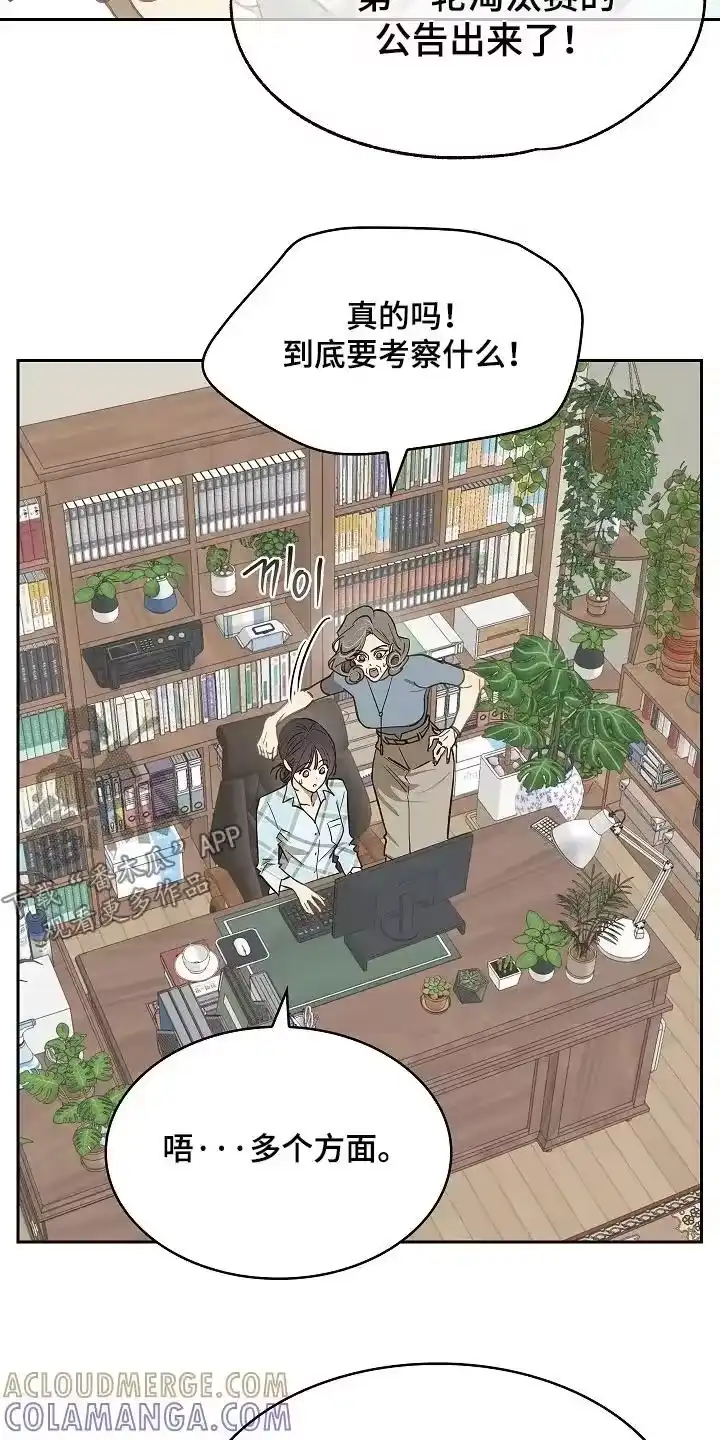 花是诱饵_h 第49章：冷静 第17页