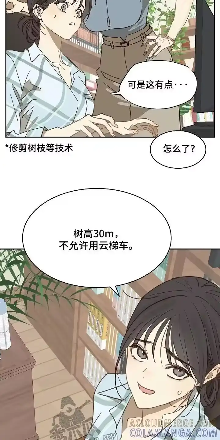 花是诱饵_h 第49章：冷静 第19页
