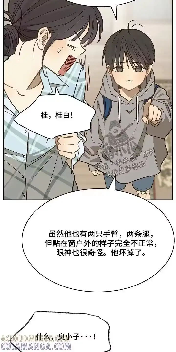 花是诱饵_h 第50章：你在这干嘛 第17页