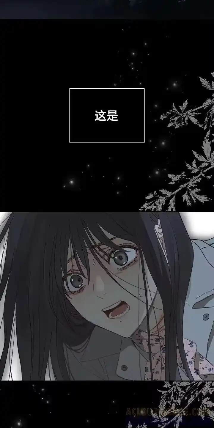 花是诱饵_h 第4章：神秘患者 第5页