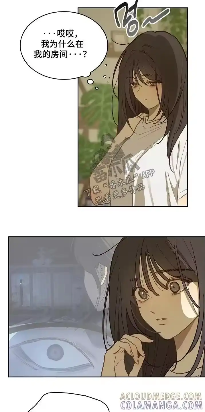 花是诱饵_h 第58章：绑头发 第3页