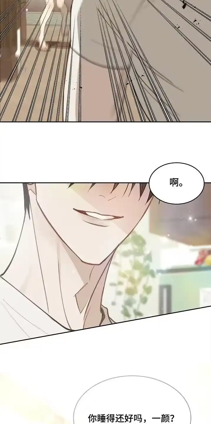 花是诱饵_h 第58章：绑头发 第8页