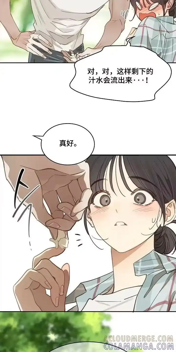花是诱饵_h 第60章：你试试看 第11页