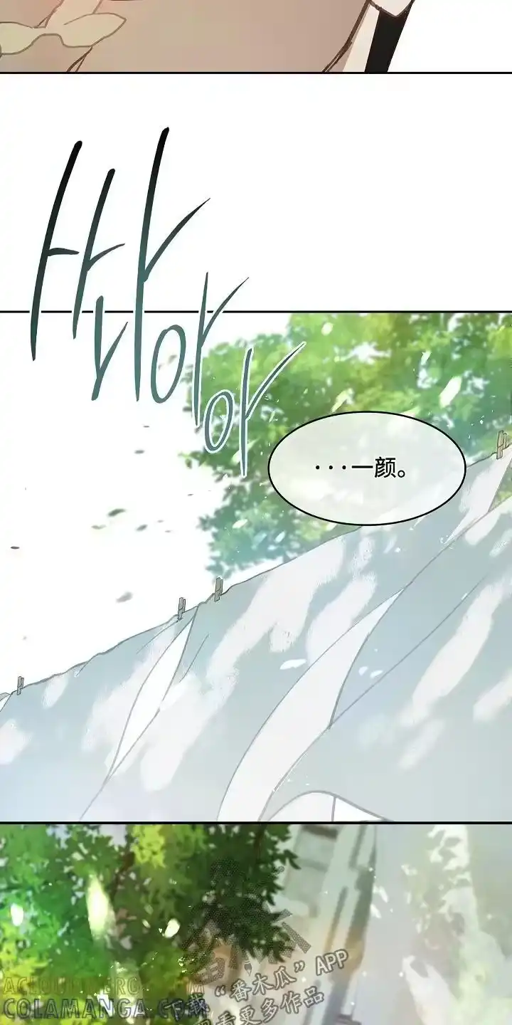 花是诱饵_h 第60章：你试试看 第17页