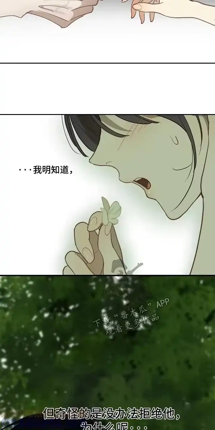 花是诱饵_h 第60章：你试试看 第5页