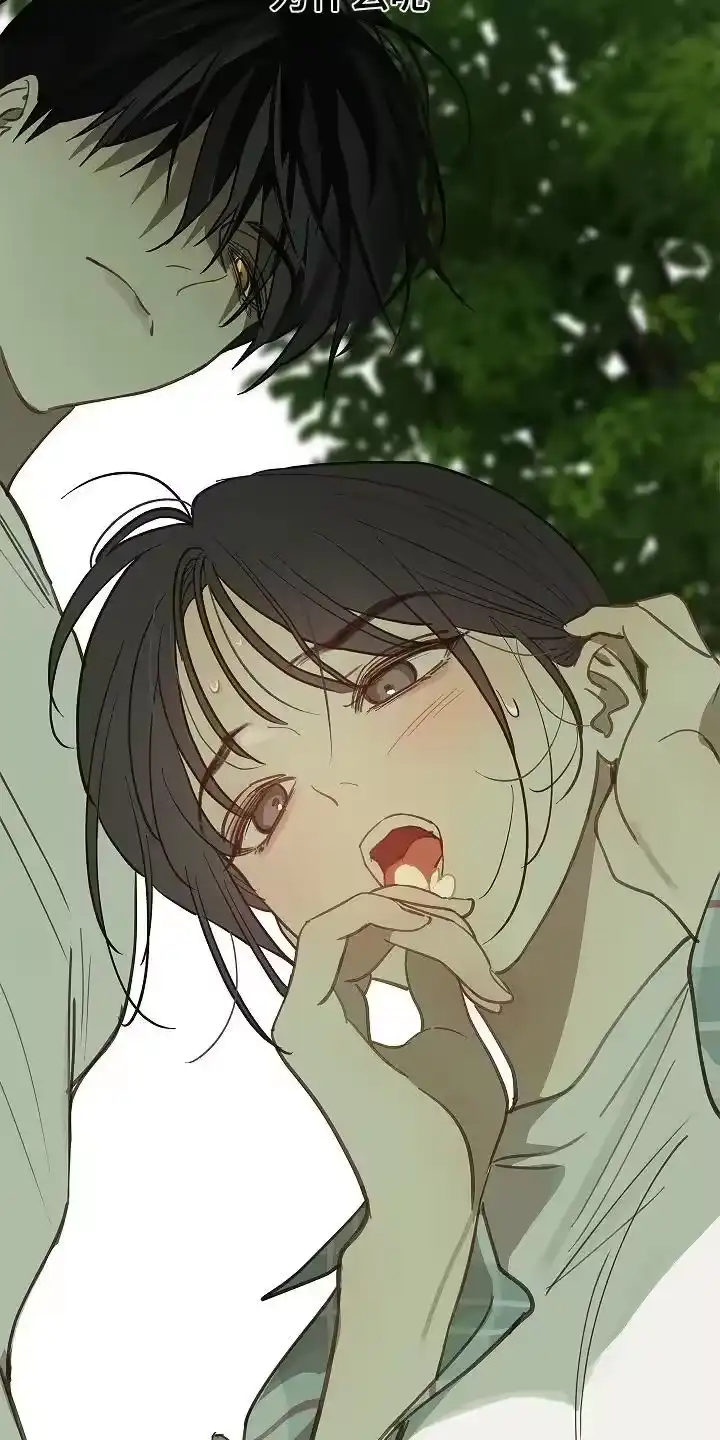 花是诱饵_h 第60章：你试试看 第6页