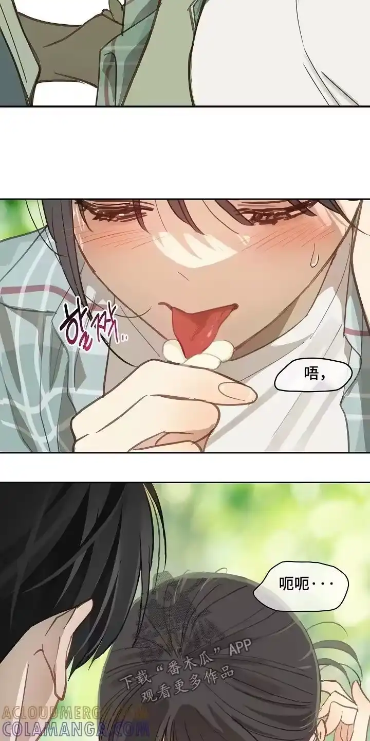 花是诱饵_h 第60章：你试试看 第7页