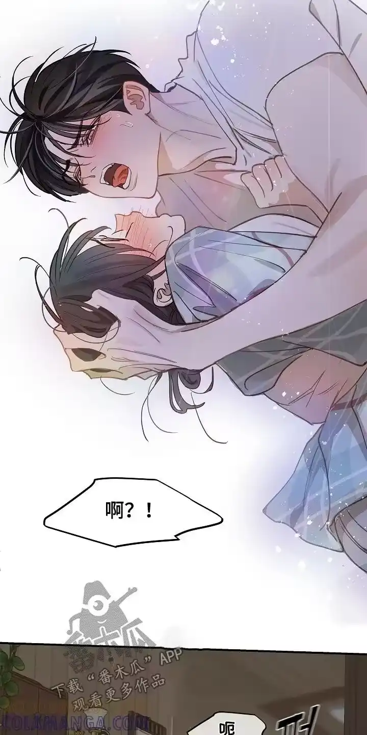 花是诱饵_h 第61章：不能这样 第11页