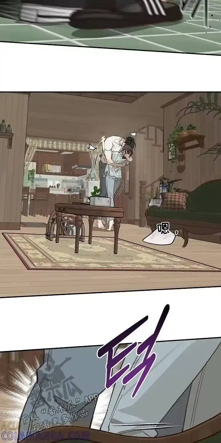 花是诱饵_h 第61章：不能这样 第13页