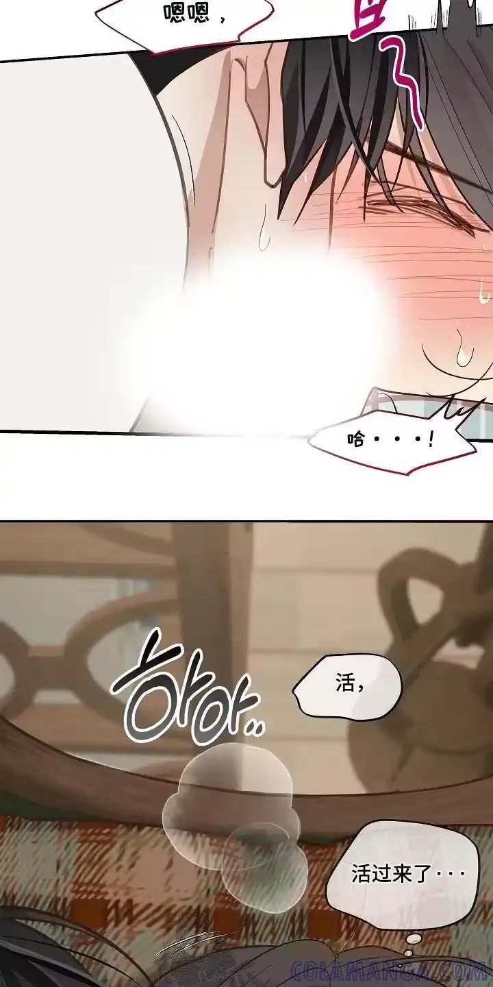 花是诱饵_h 第61章：不能这样 第15页