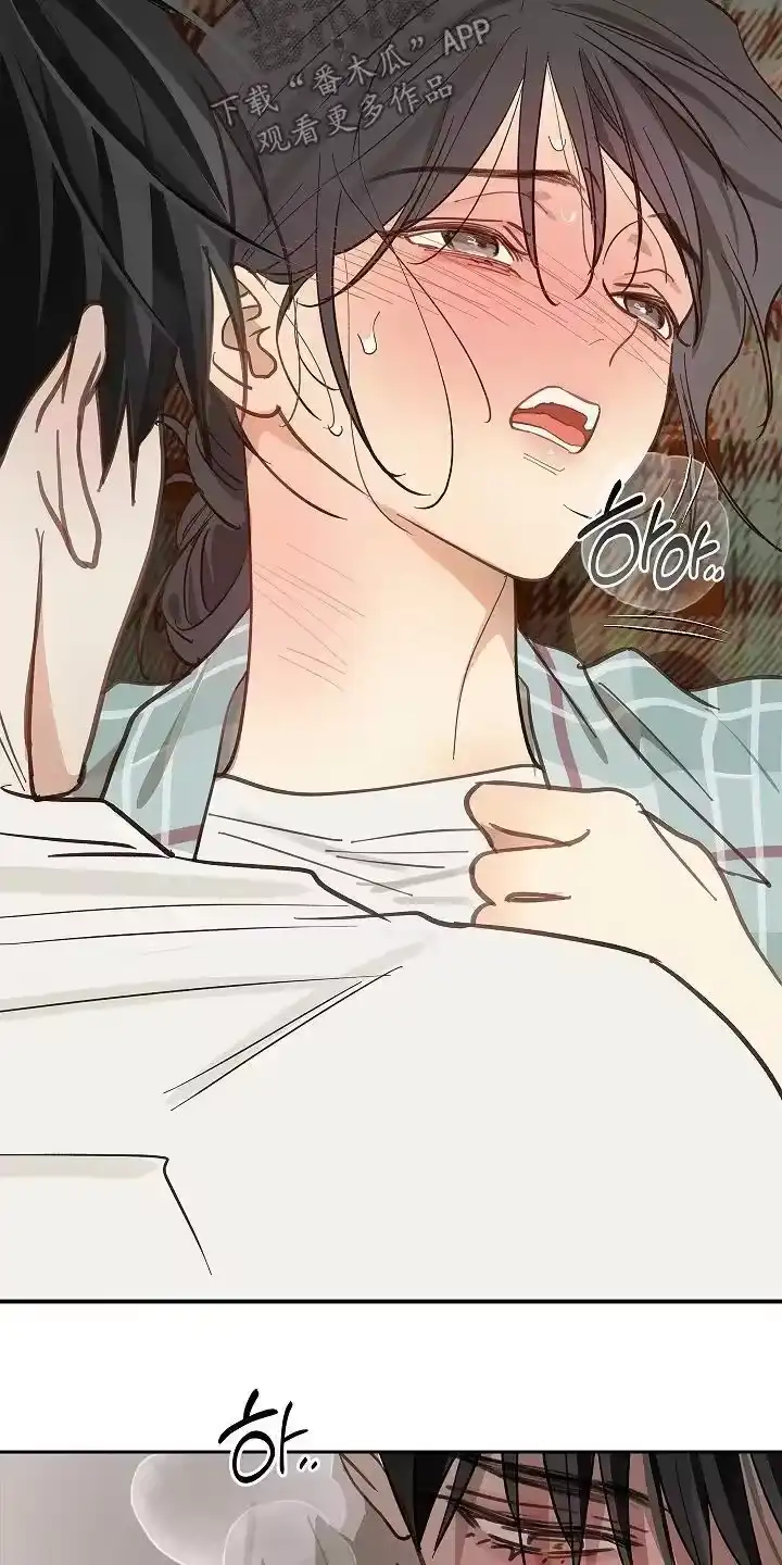 花是诱饵_h 第61章：不能这样 第16页