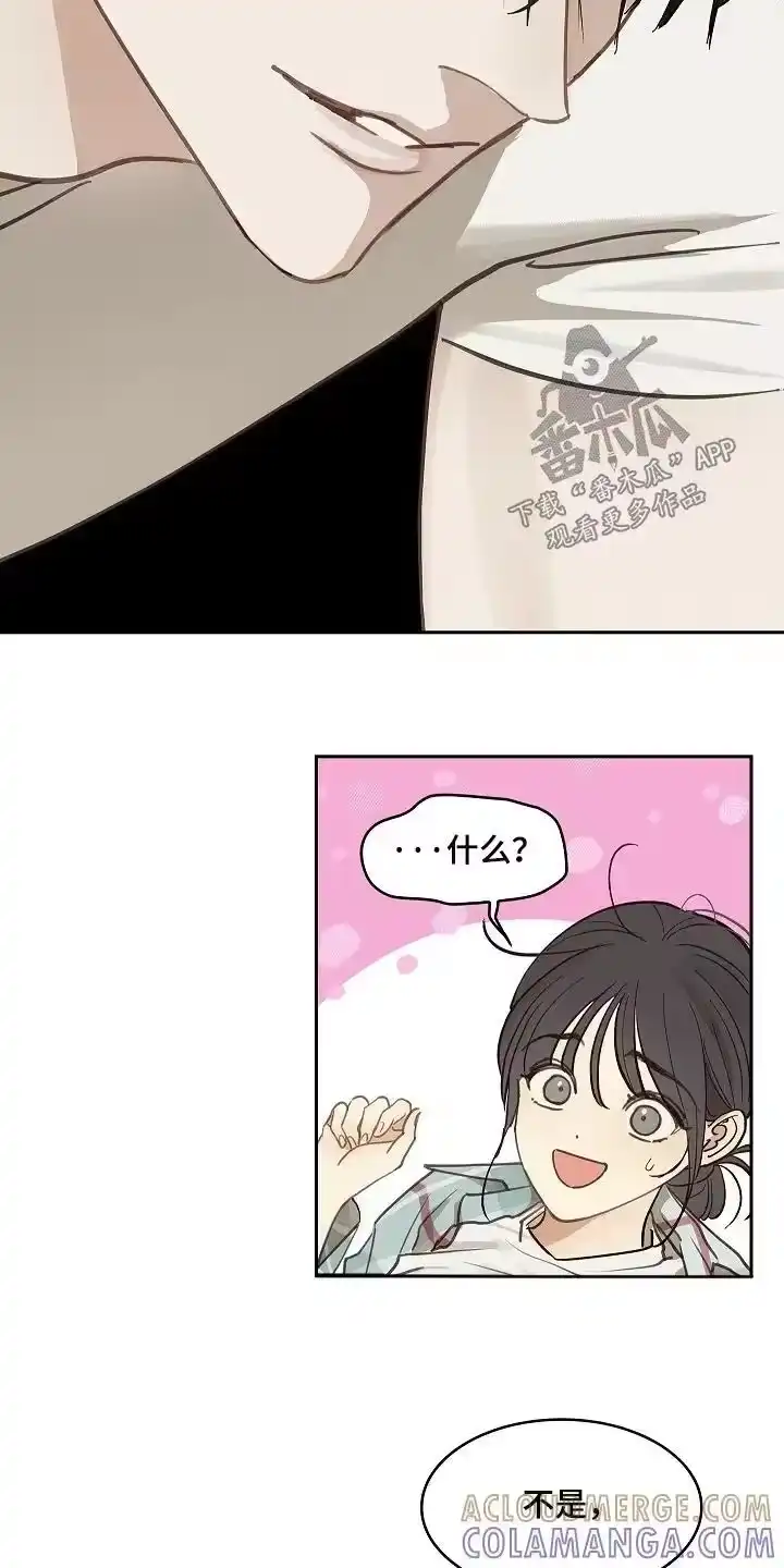 花是诱饵_h 第62章：逃过一劫 第11页