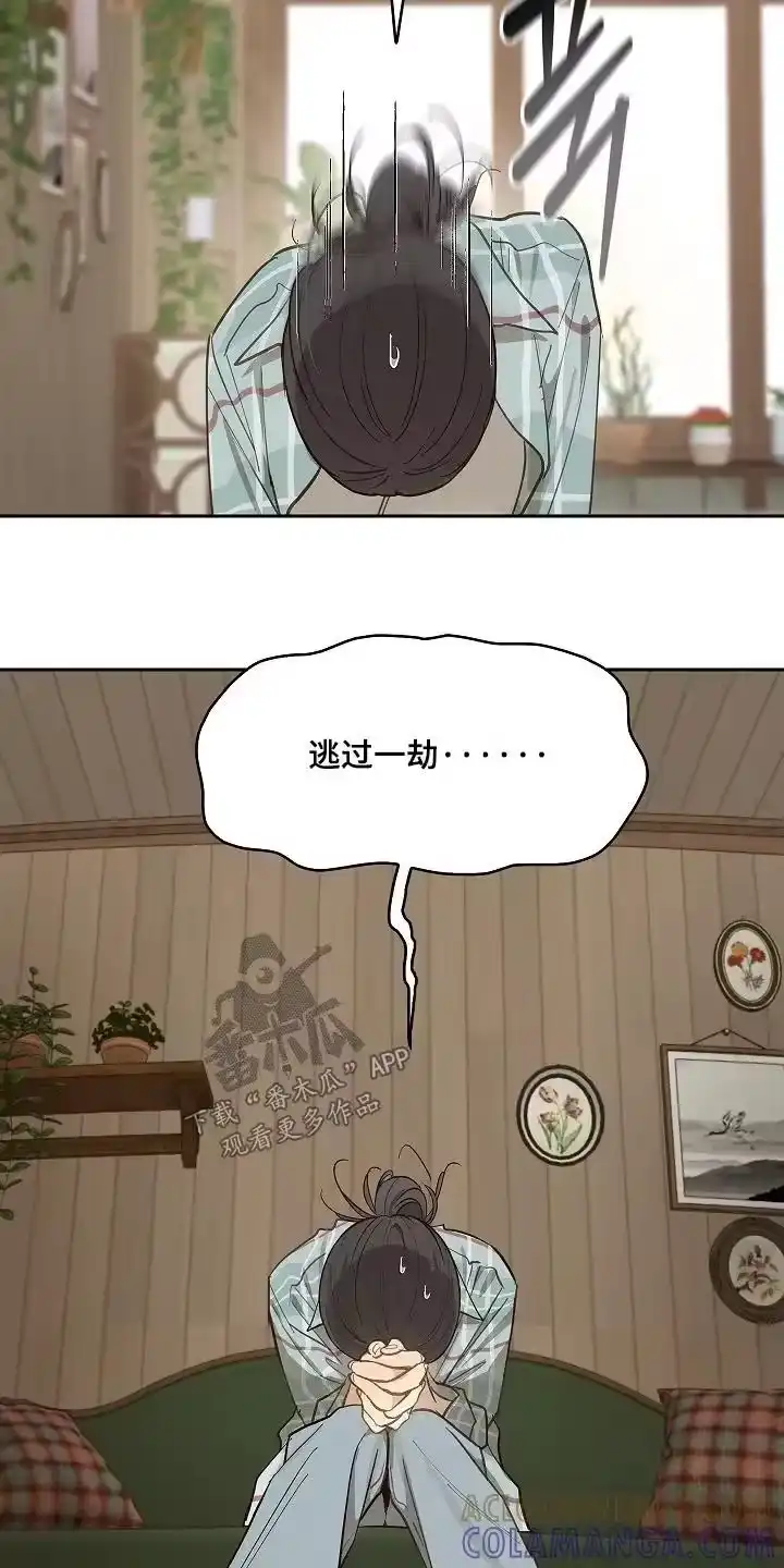 花是诱饵_h 第62章：逃过一劫 第21页