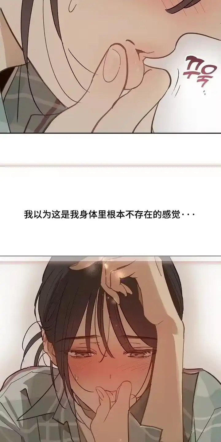 花是诱饵_h 第62章：逃过一劫 第24页