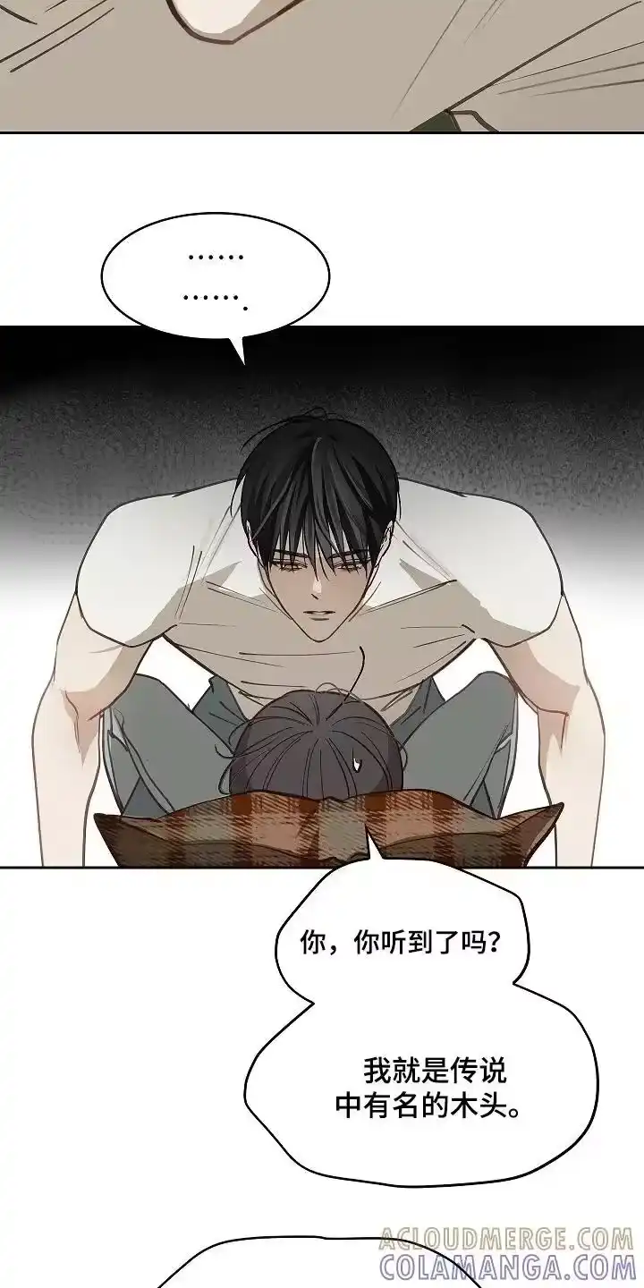 花是诱饵_h 第62章：逃过一劫 第7页