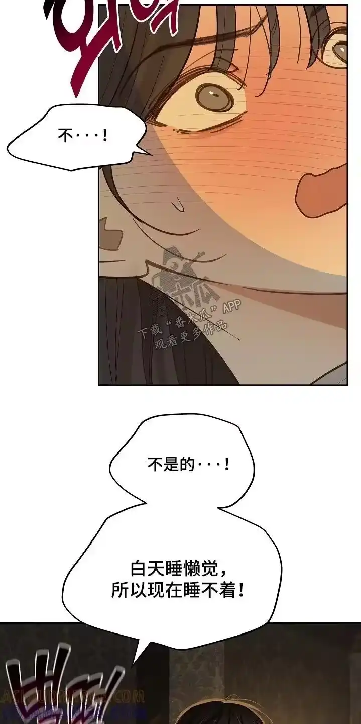 花是诱饵_h 第63章：相遇的时候 第11页